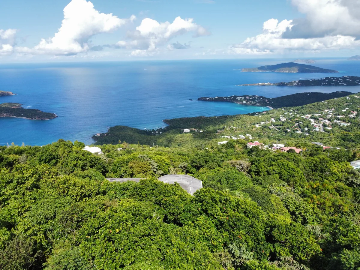 1A-23 Dorothea LNS — For sale