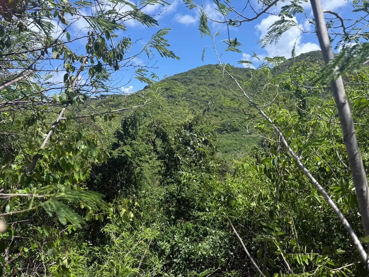 162 Cotton Valley EB — For sale