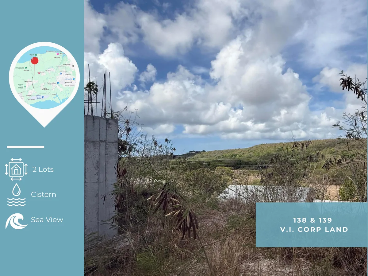 138 & 139 V.I. Corp Lands PR — For sale