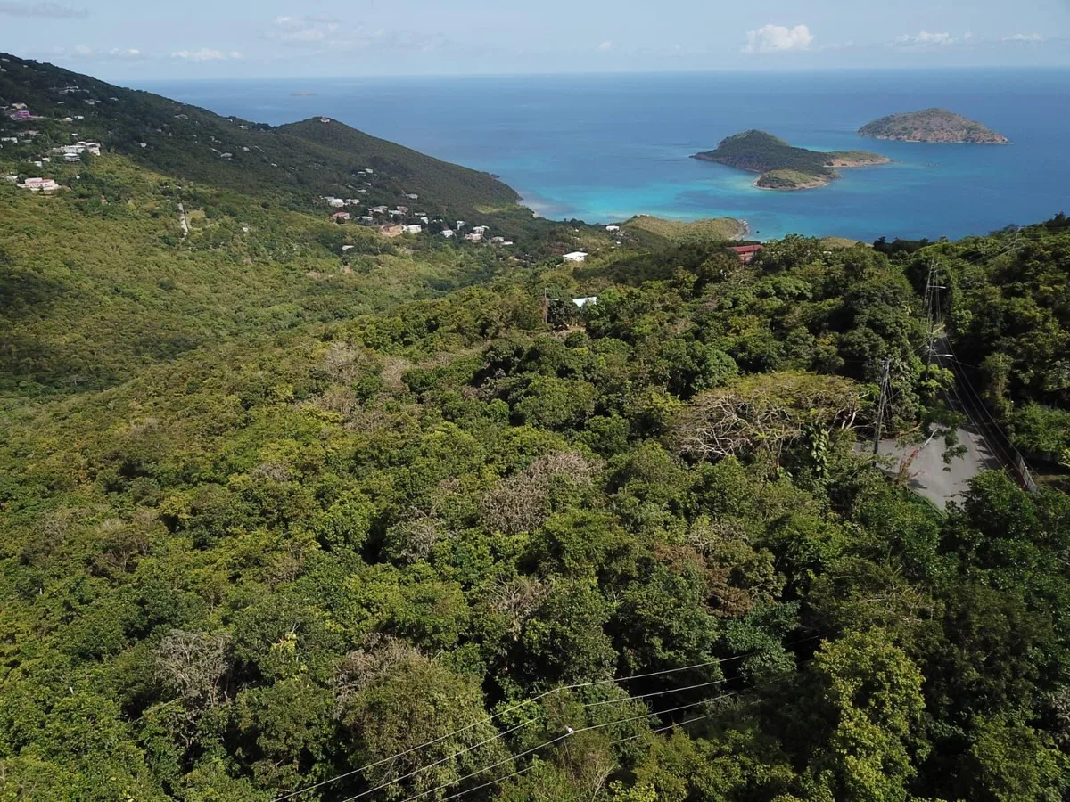 11A Lilliendal & Marienhoj LNS — For sale