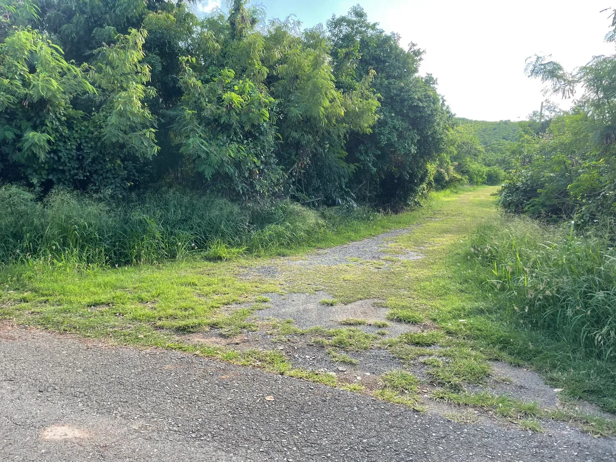 284 Cotton Valley EB — For sale