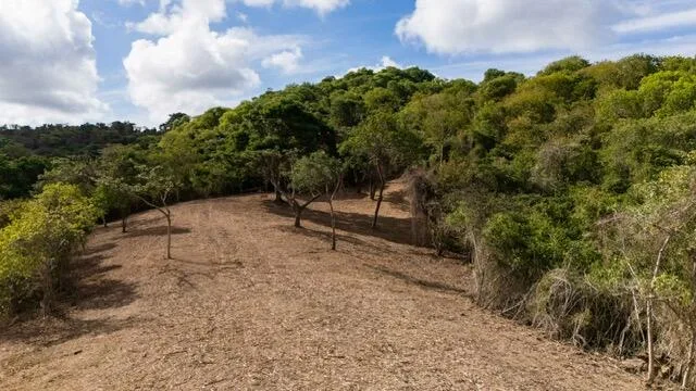 9 - K Montpellier PR — For sale