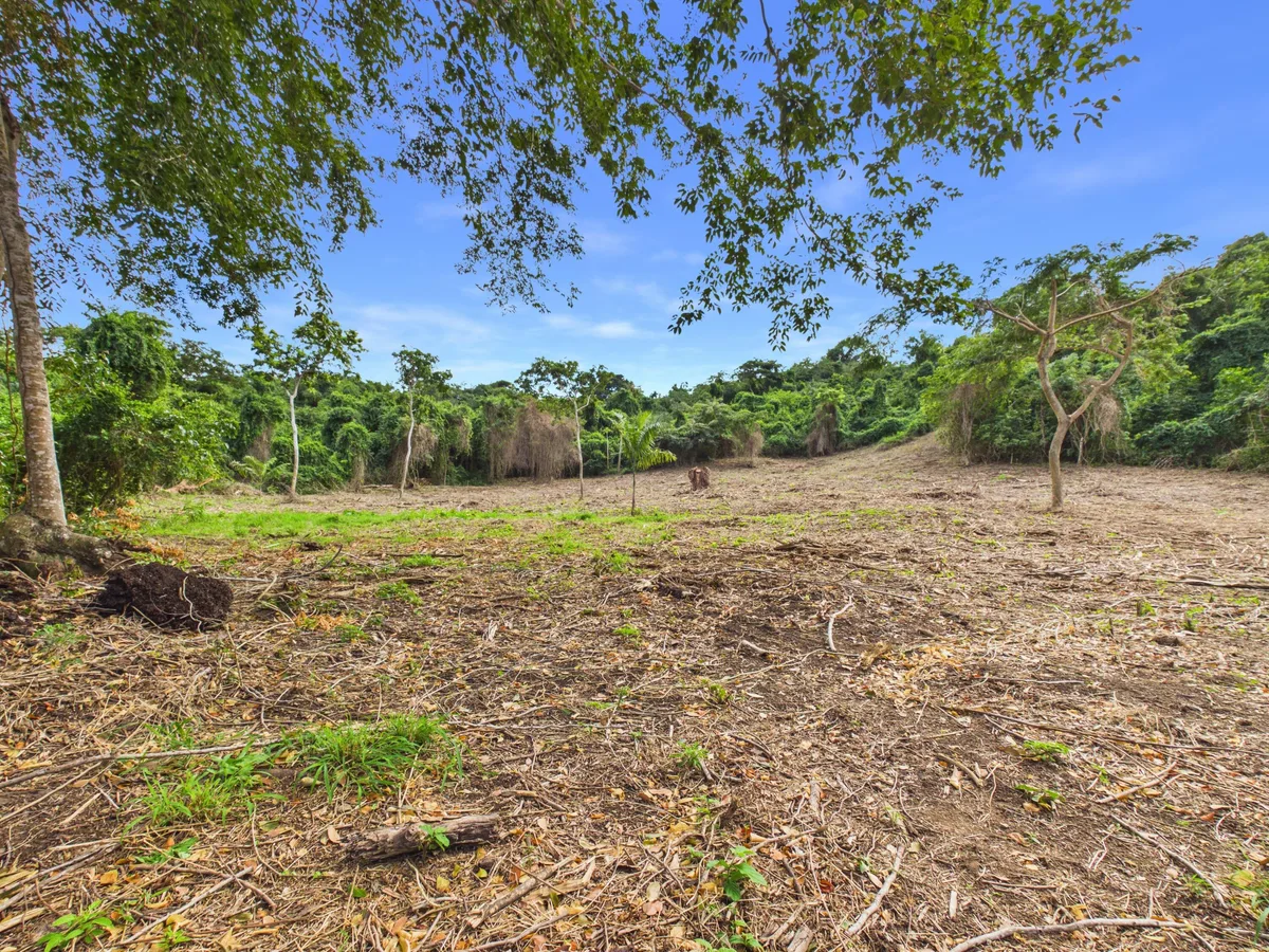 9-H Montpellier PR — For sale